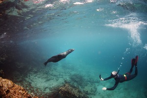 Snorkeling